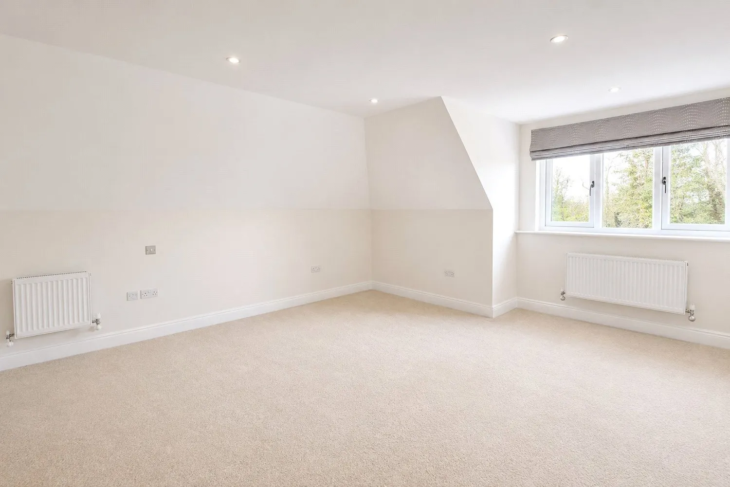 The Rise, Sevenoaks, TN13 photo 8
