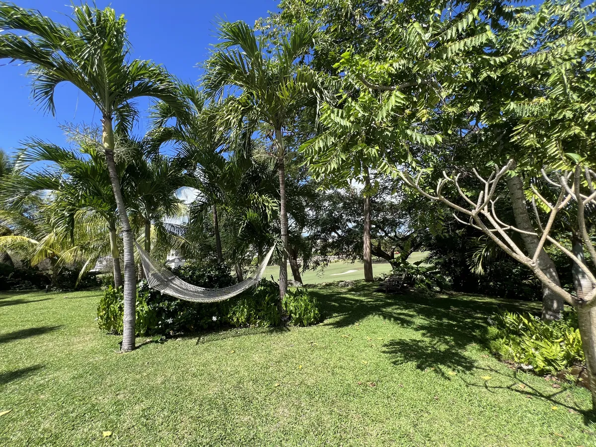Dragonfly, Palm Grove 14