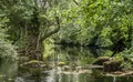 Property image gallery