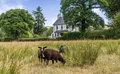 Property image gallery