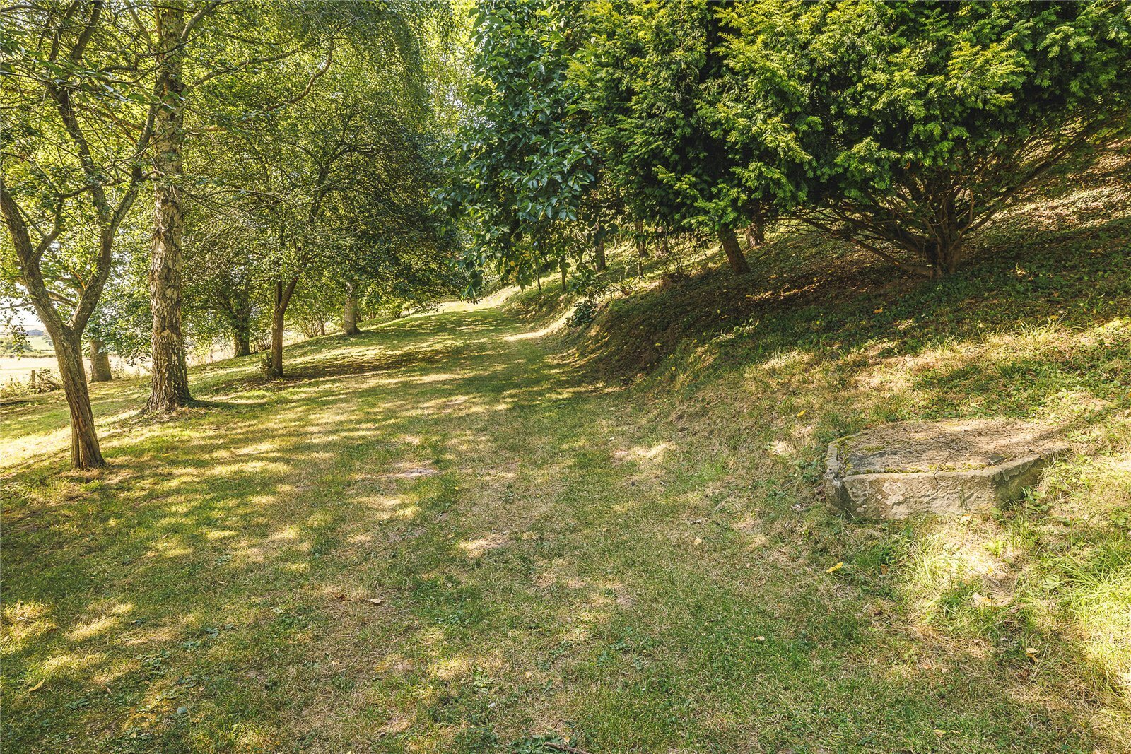 Fownhope, Hereford, HR1 Image 3