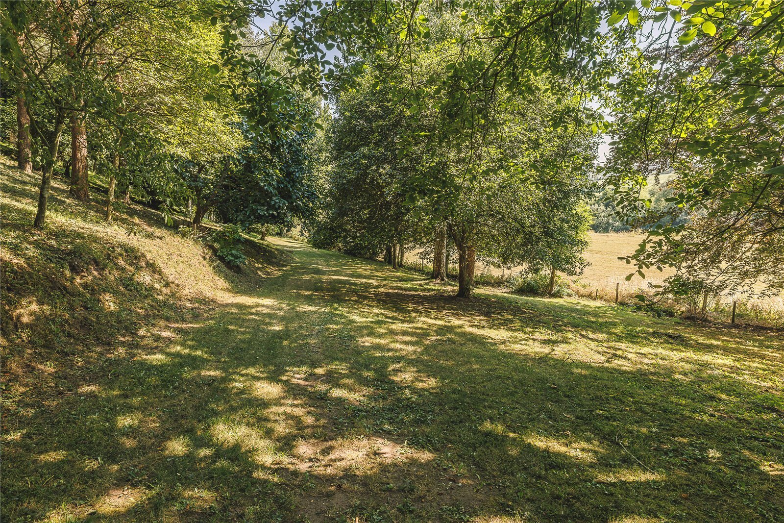 Fownhope, Hereford, HR1 Image 16
