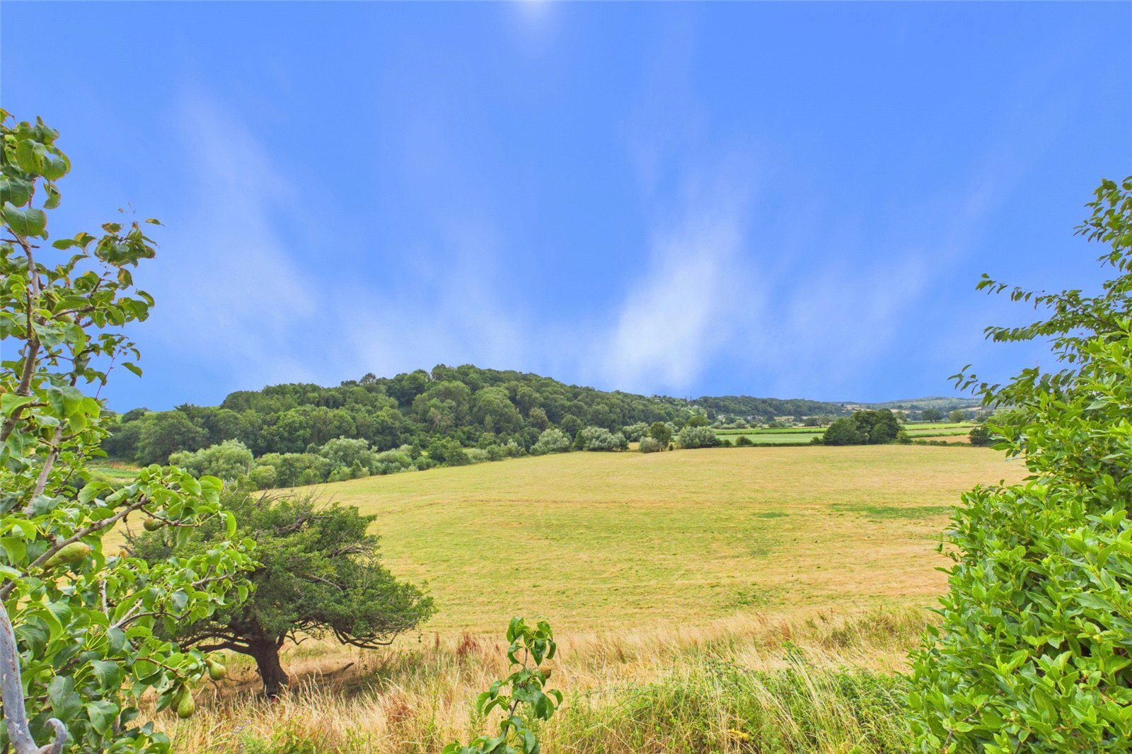 Fownhope, Hereford, HR1 Image 17