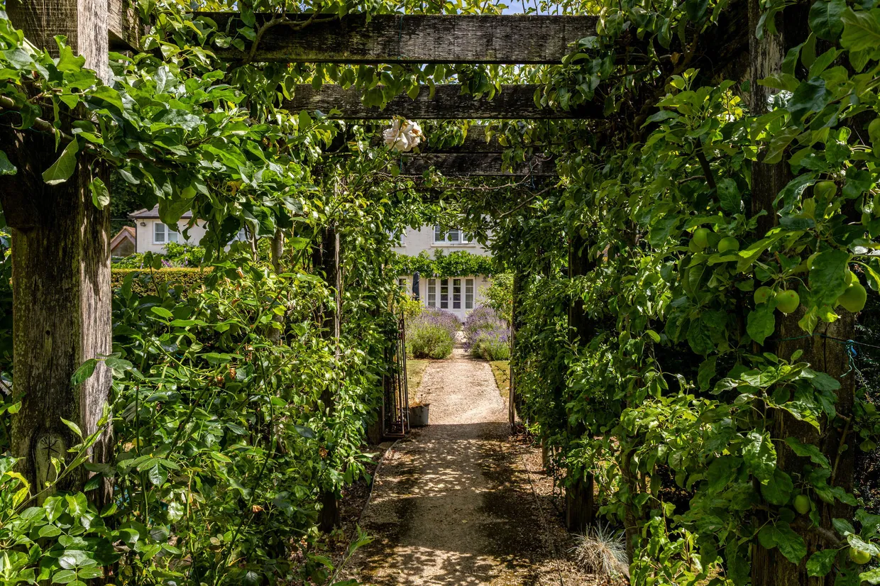 Shalden, Alton, GU34 photo 21