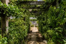 Shalden, Alton, GU34 photo 21