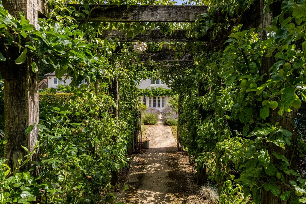 Shalden, Alton, GU34 photo 21
