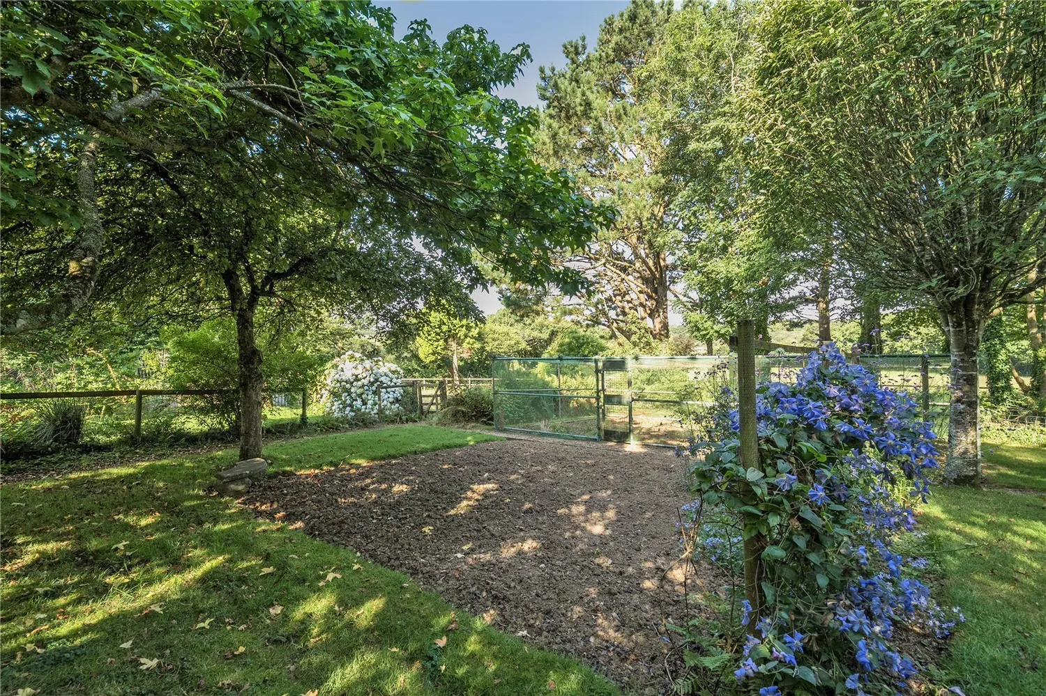 Colbiggan, St Austell, PL26 photo 17