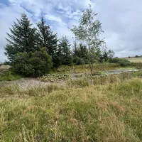 Property 20