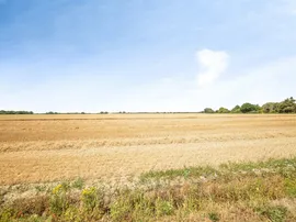 Plough Road, Great Bentley, Colchester thumb 2