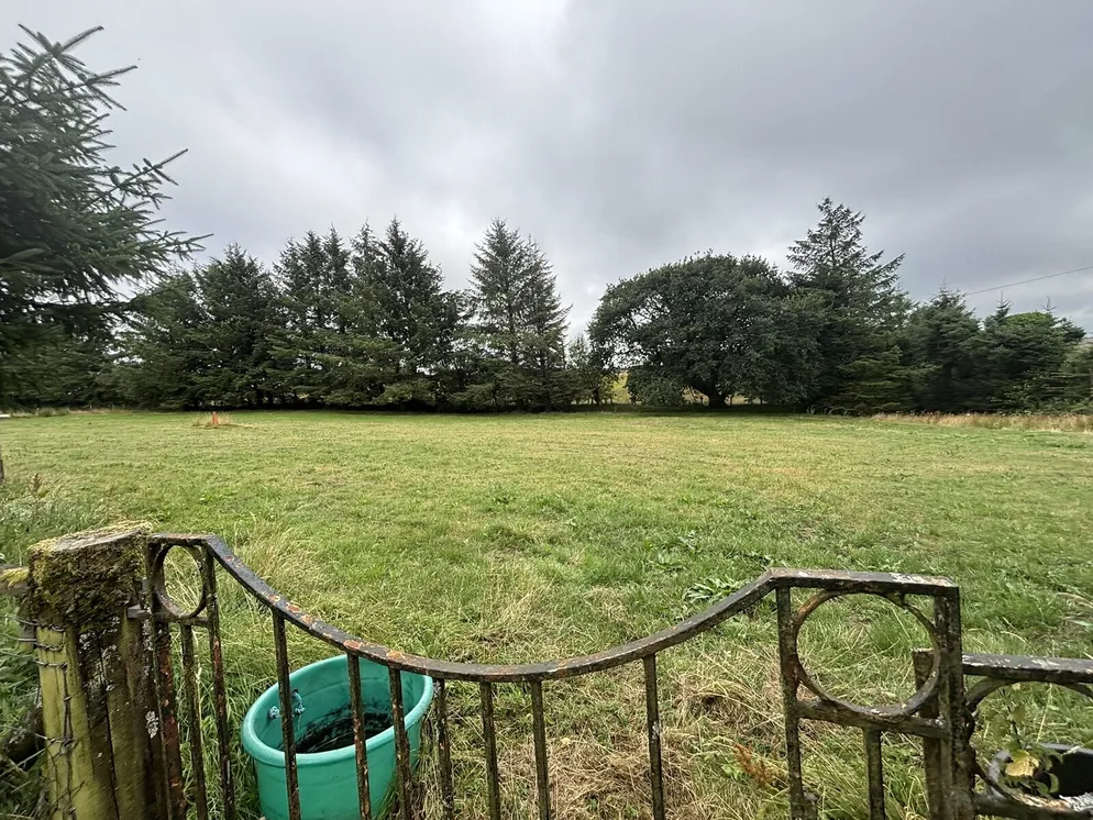 Property carousel item 5