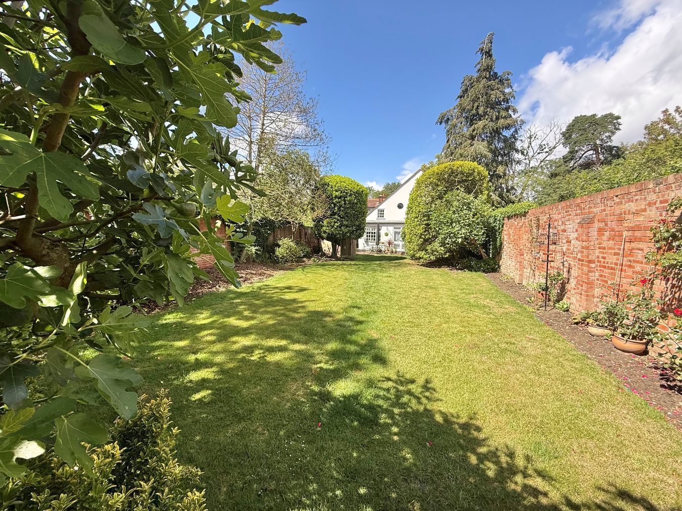 Forest Road, Binfield, Berkshire, RG42 Image 16