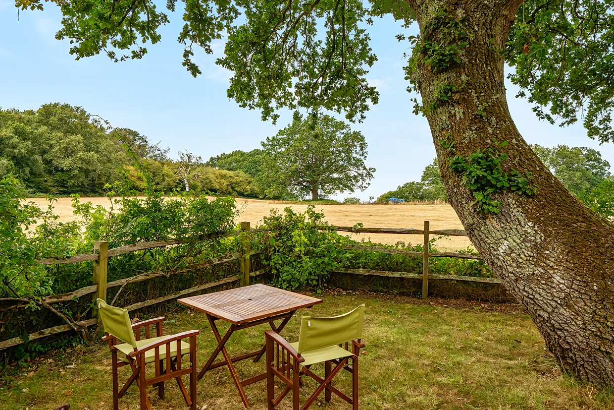 Cinder Hill, North Chailey, BN8 photo 12