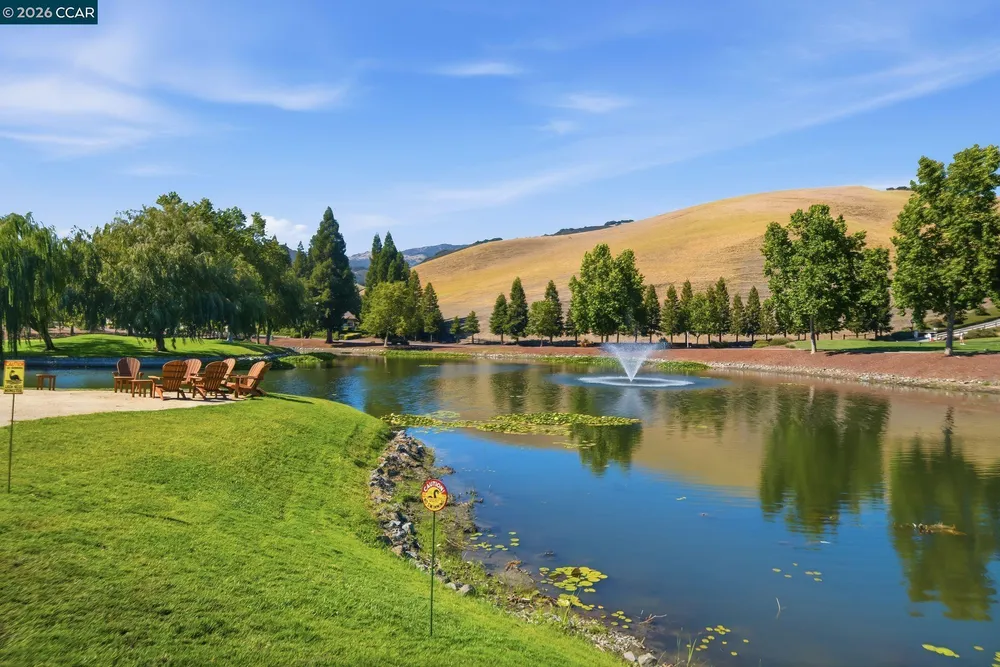 700 Blue Spruce Dr, Danville, CA 94506