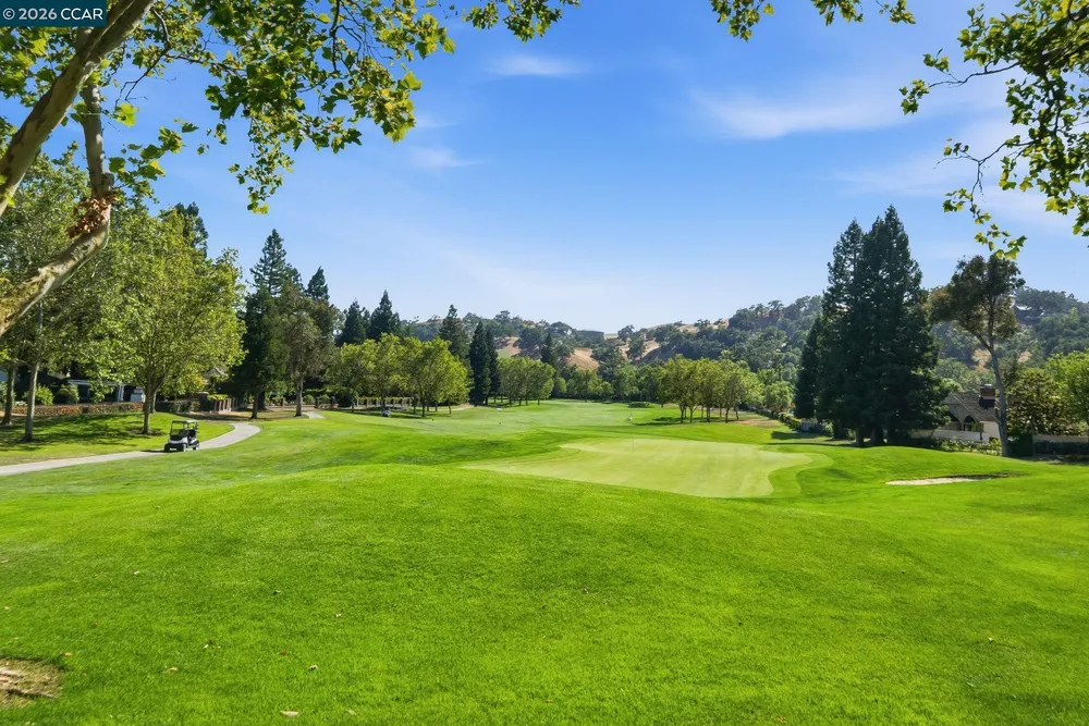 700 Blue Spruce Dr, Danville, CA 94506