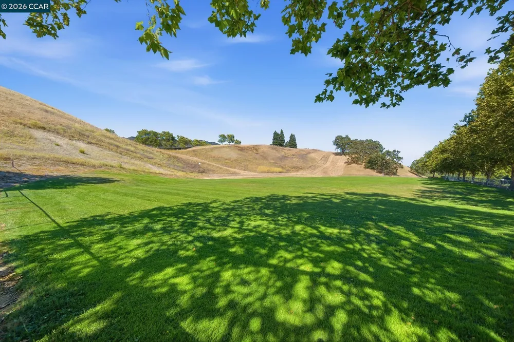 700 Blue Spruce Dr, Danville, CA 94506