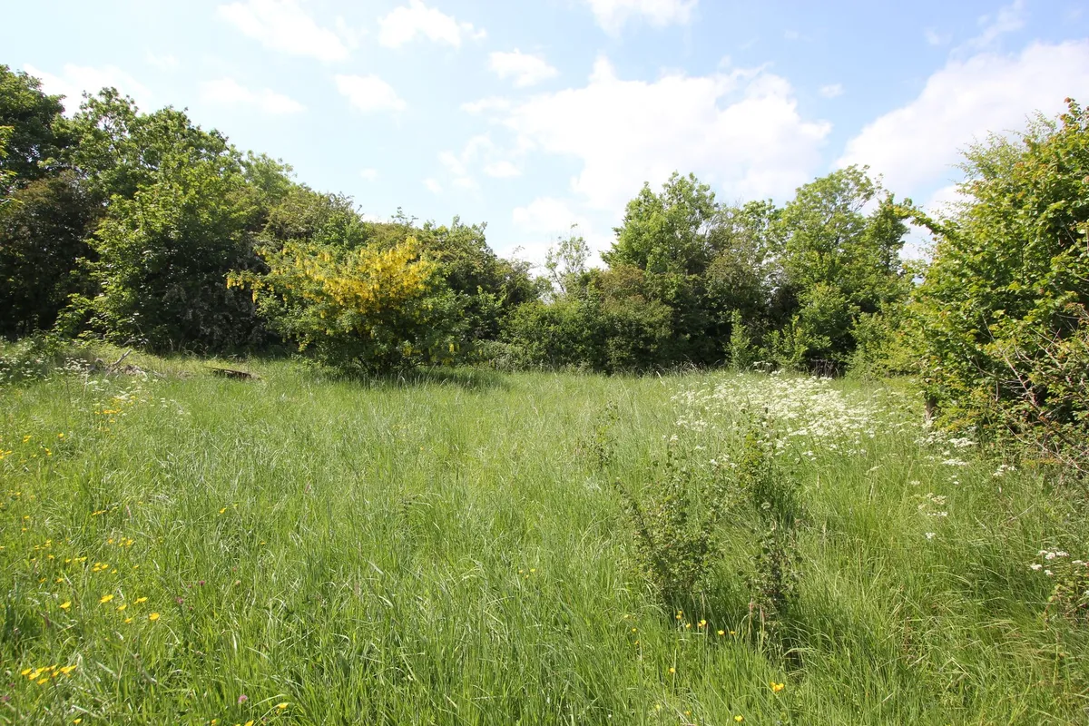 West Aberthaw, Barry, CF62