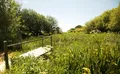 Property image gallery