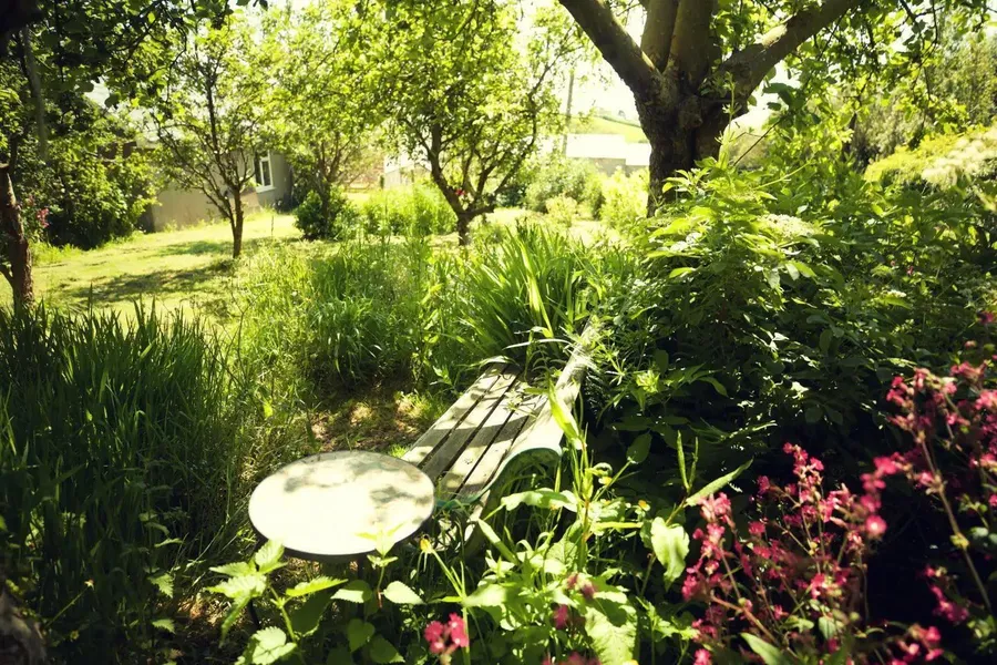 Property Image 39