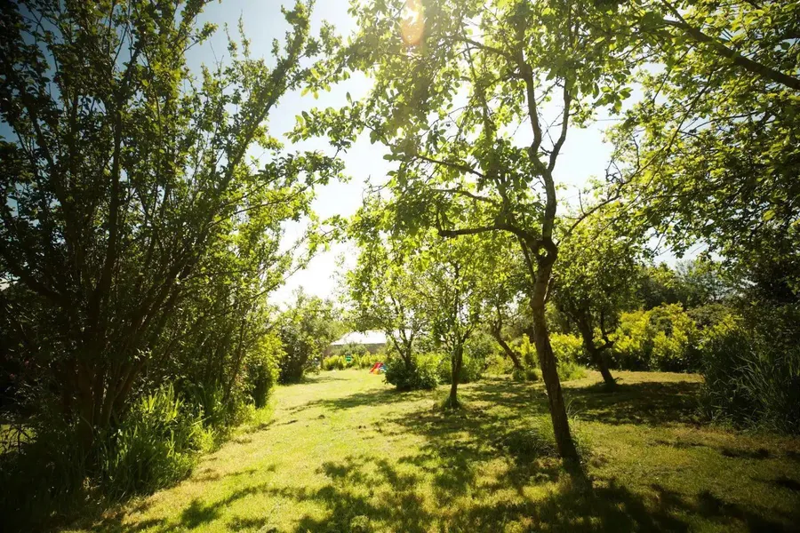 Property Image 40