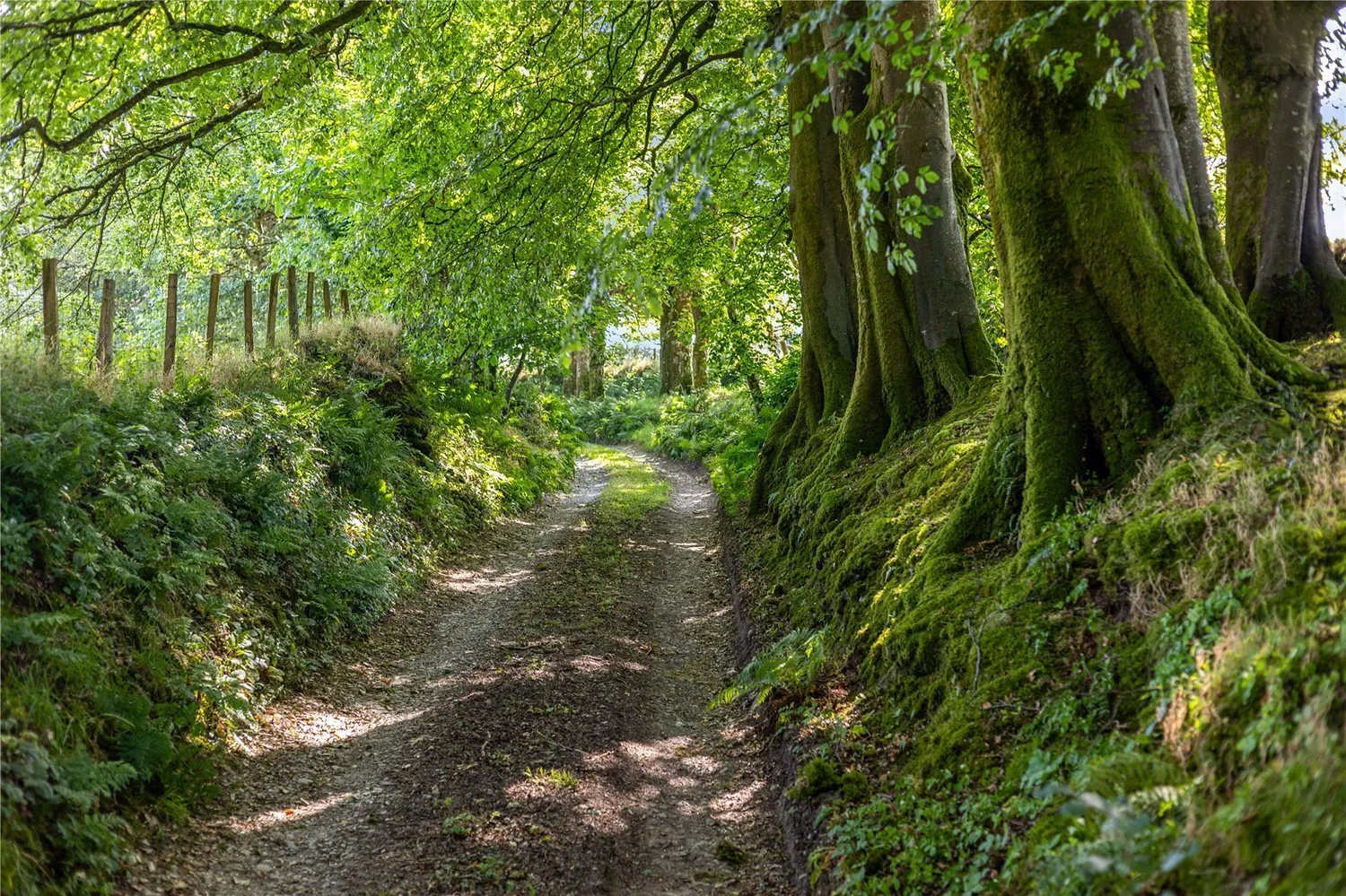 Exmoor National Park, Lynton, EX35 photo 4
