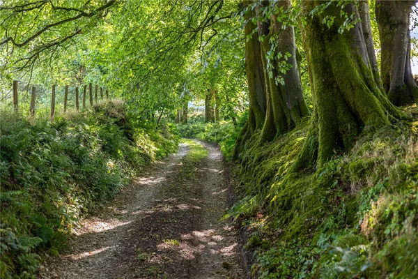 Exmoor National Park, Lynton, EX35 photo 4