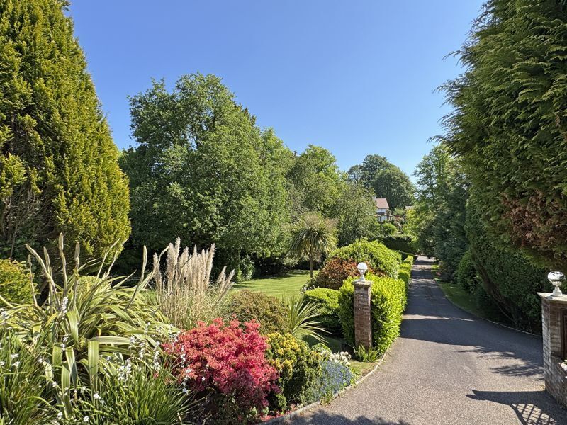 Bickwell Valley, Sidmouth Image 10