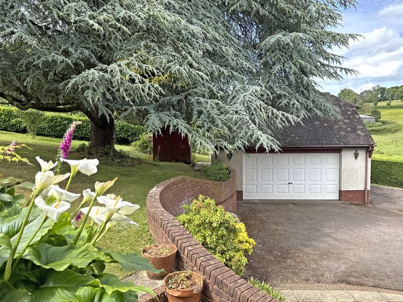 Muttersmoor Road, Sidmouth Image 36