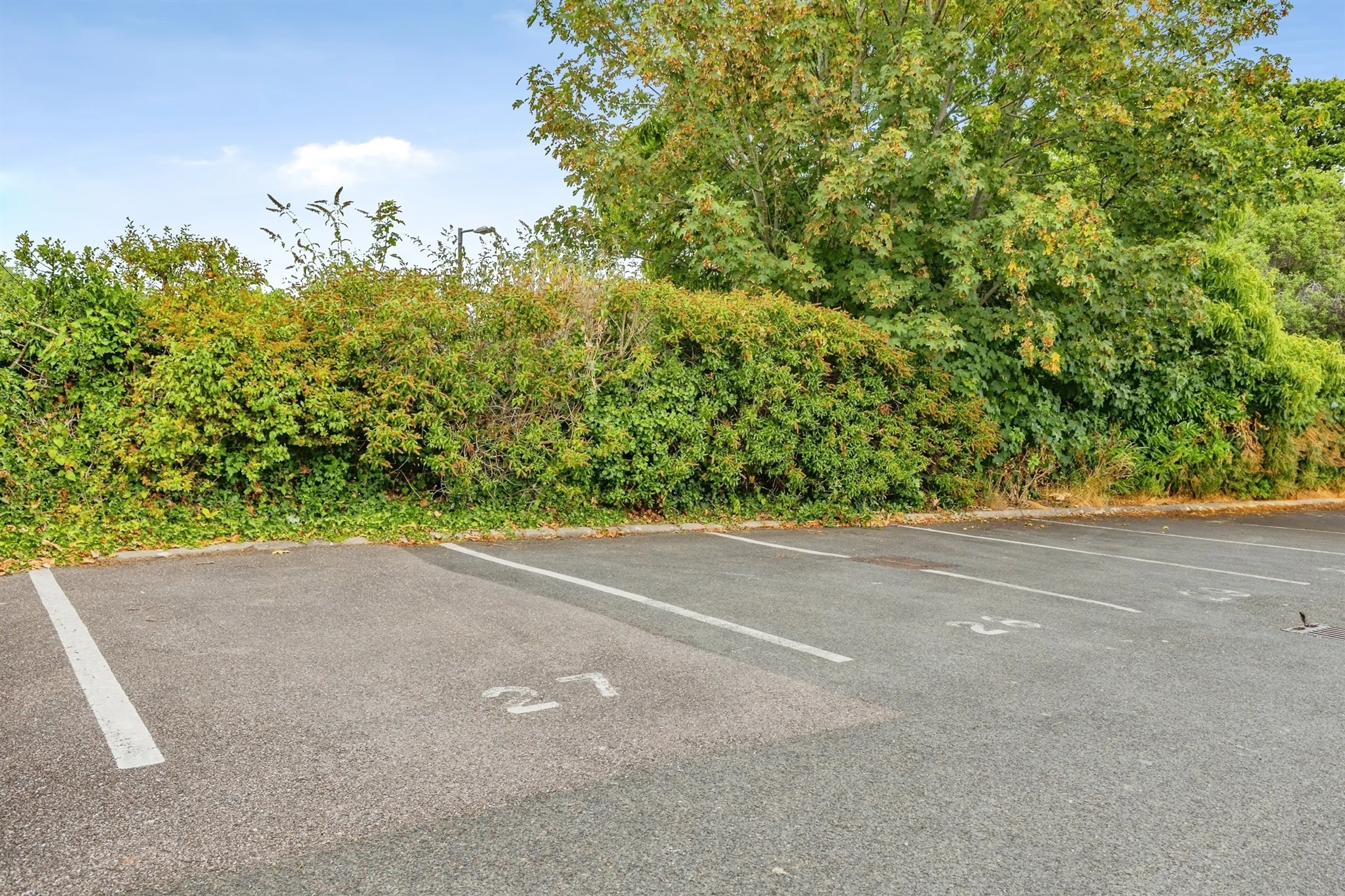 Property photo 21