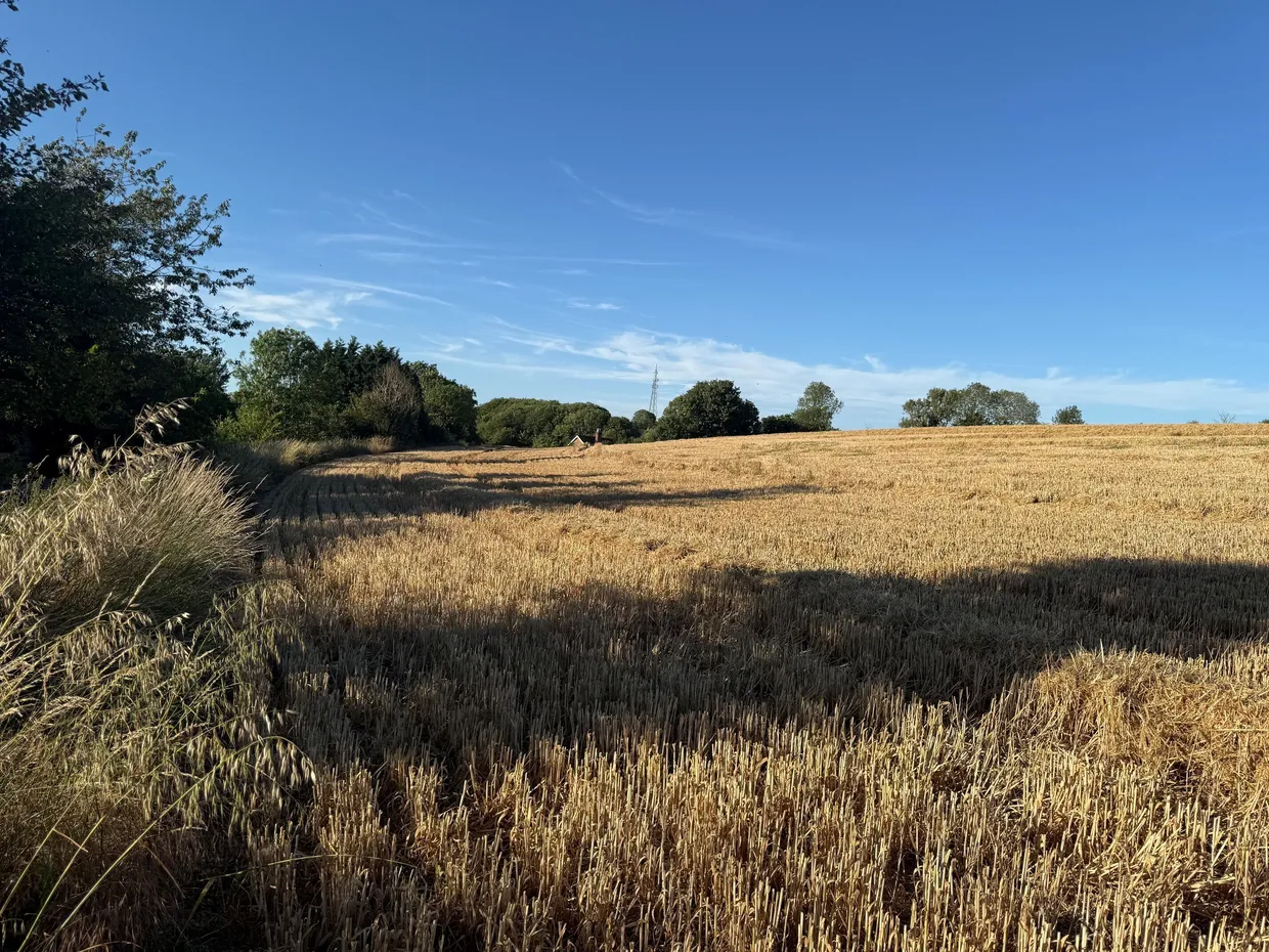 Longstreet, Enford, SN9 photo 8
