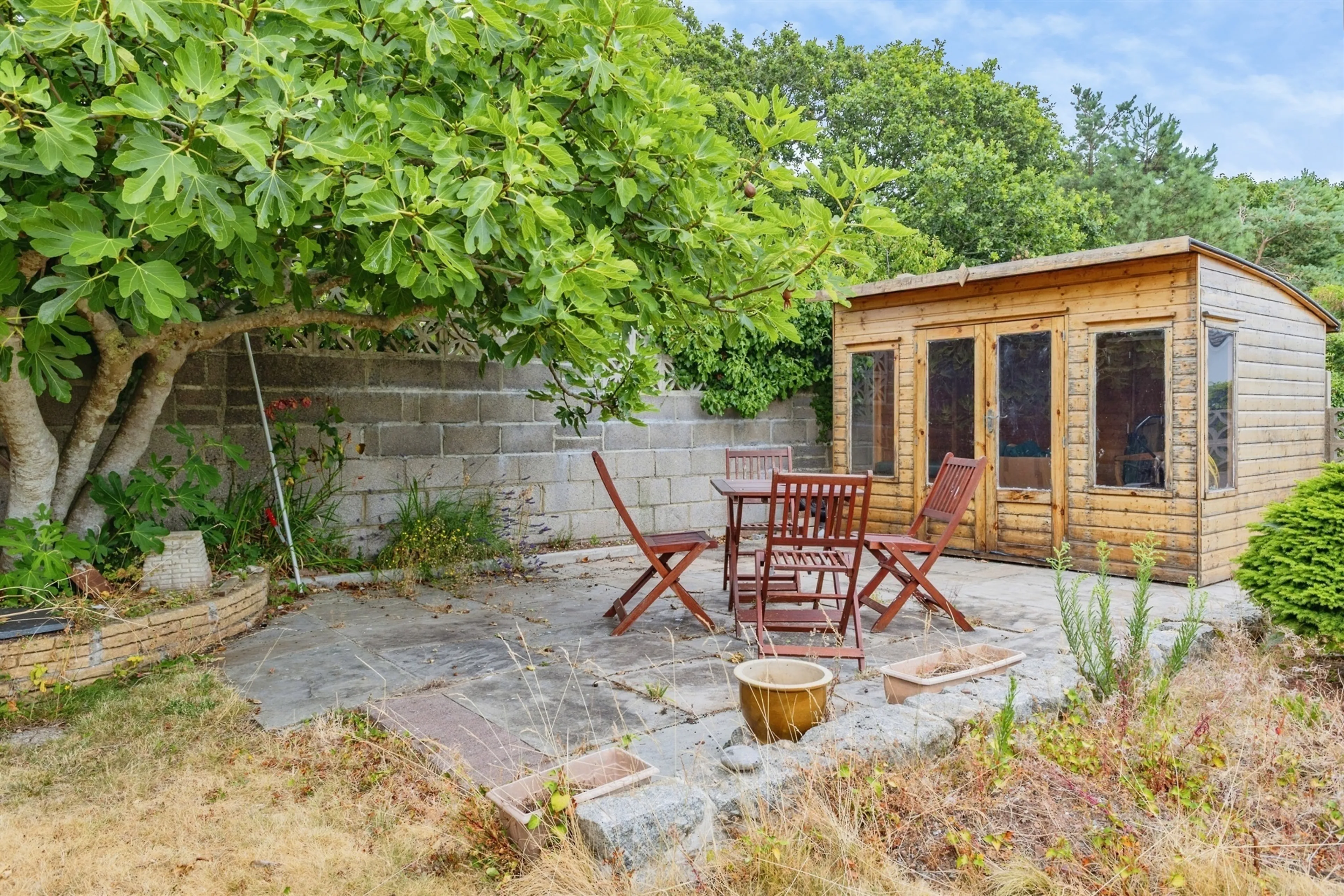 Property photo 22