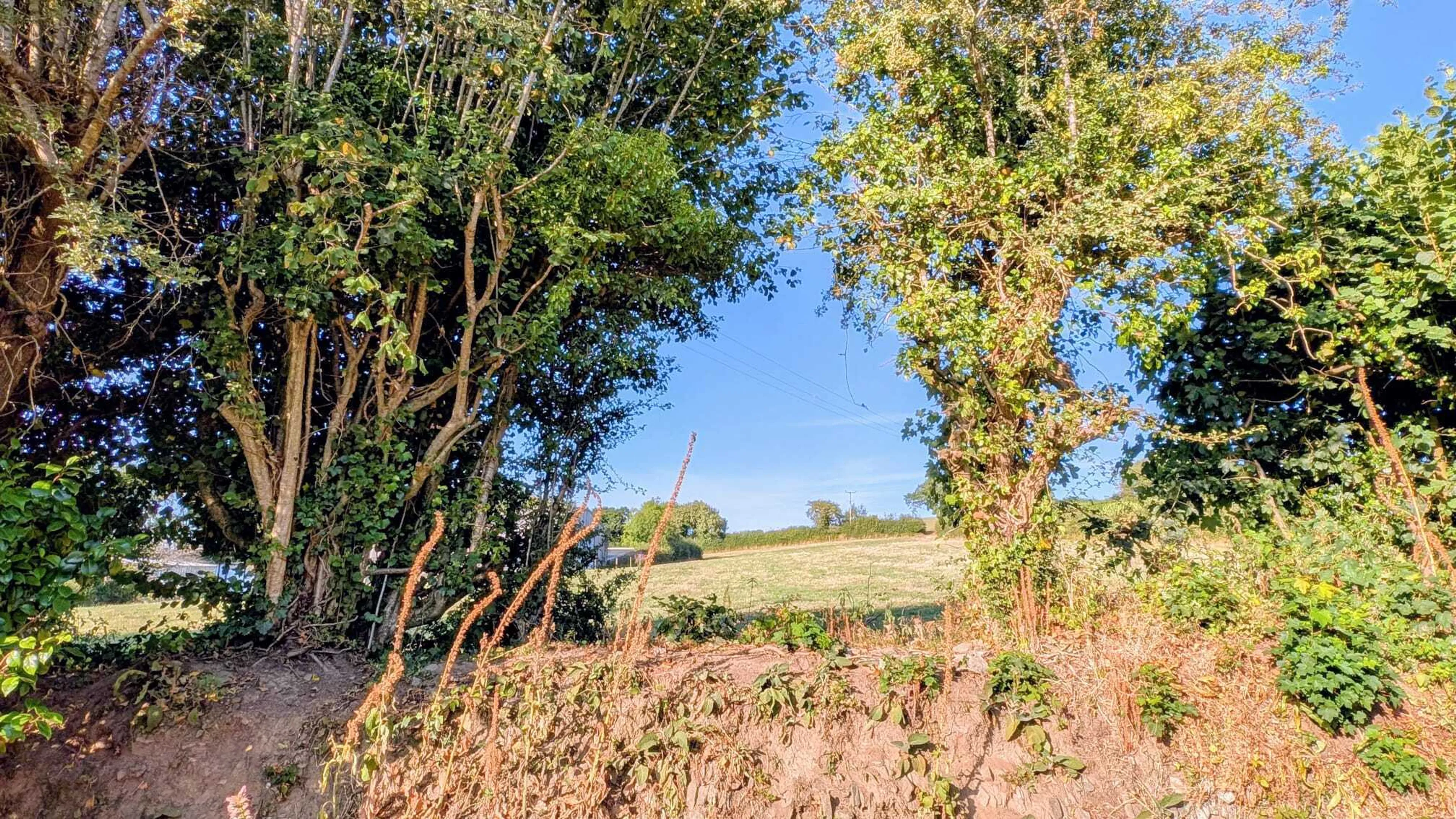 Property photo 21