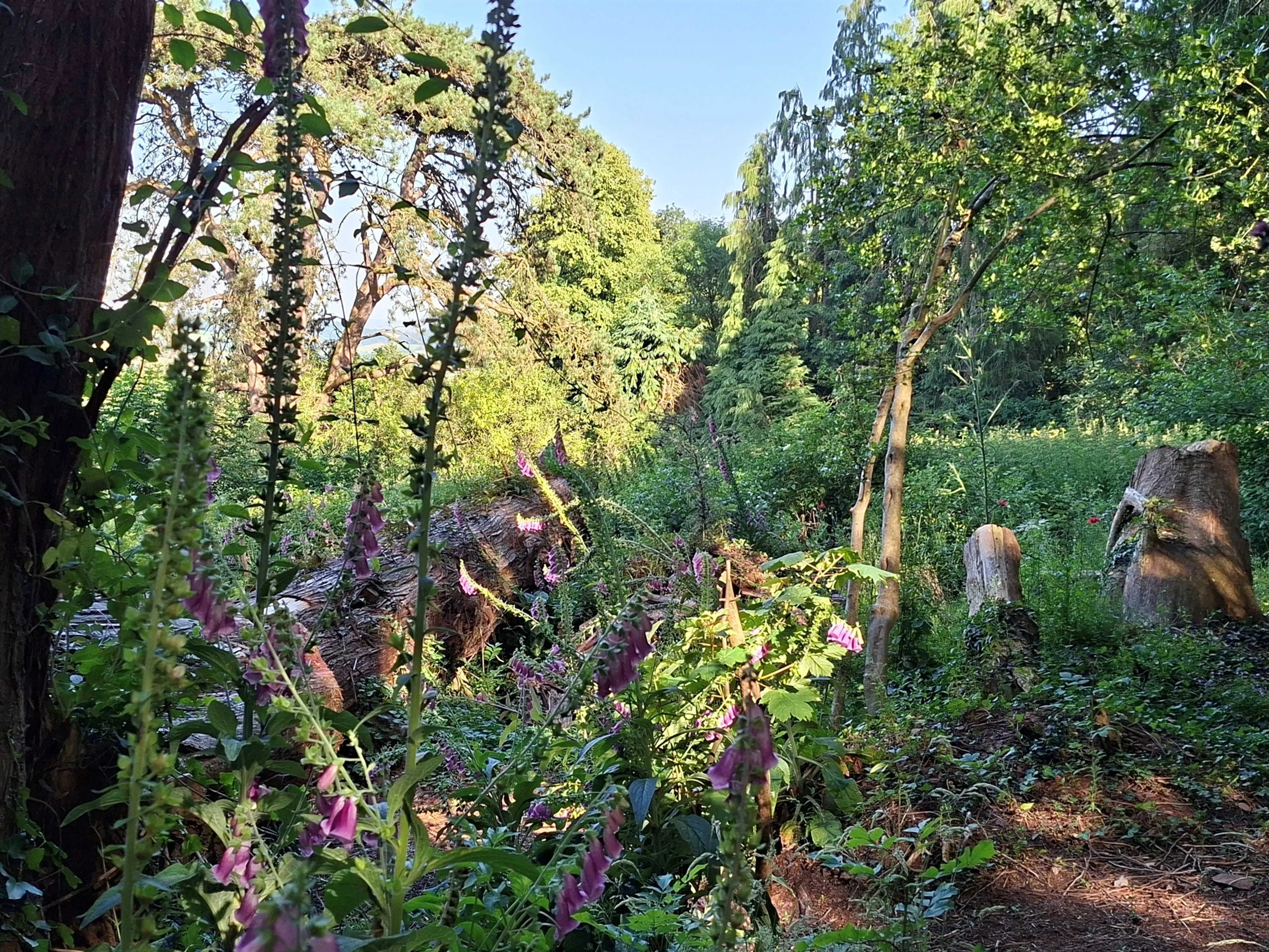 Property photo 15