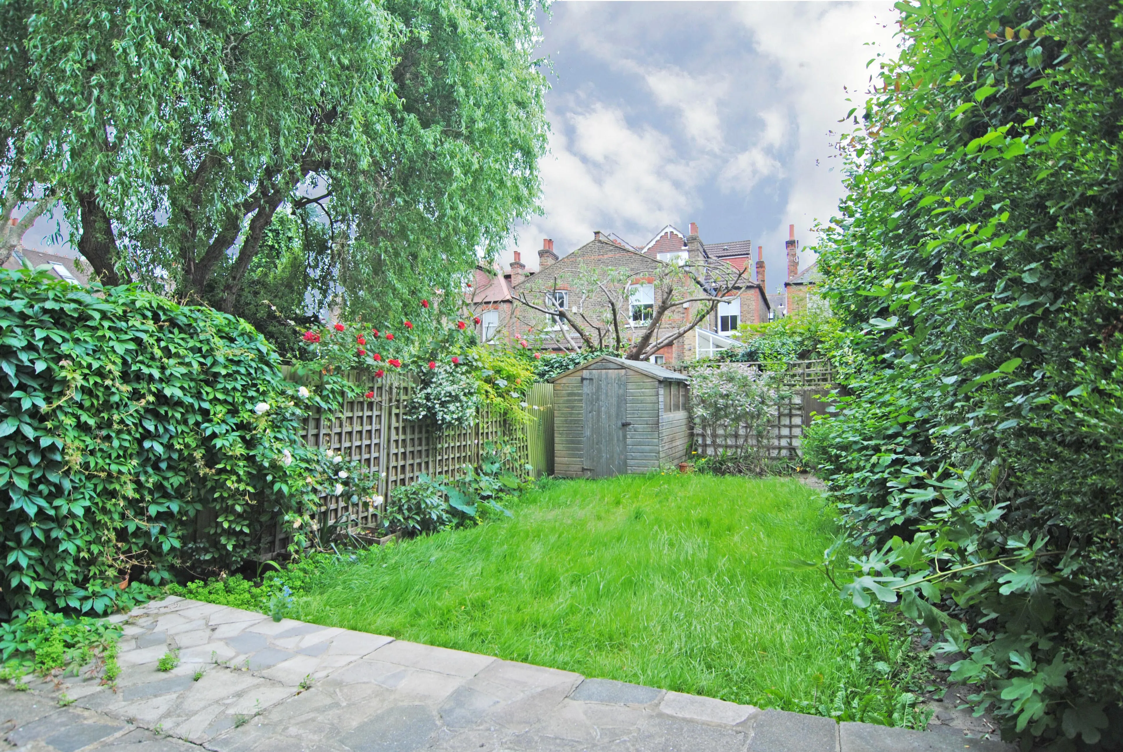 Photo 15