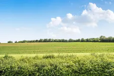 Woodland Drove, Twyford, SO21 photo 6