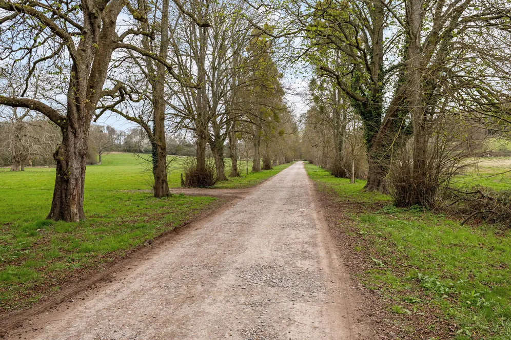 Midgham Park, Reading, RG7 photo 3