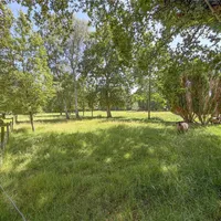 Property 20