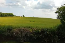 Long Lane, Brauncewell