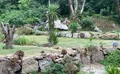 Property image gallery