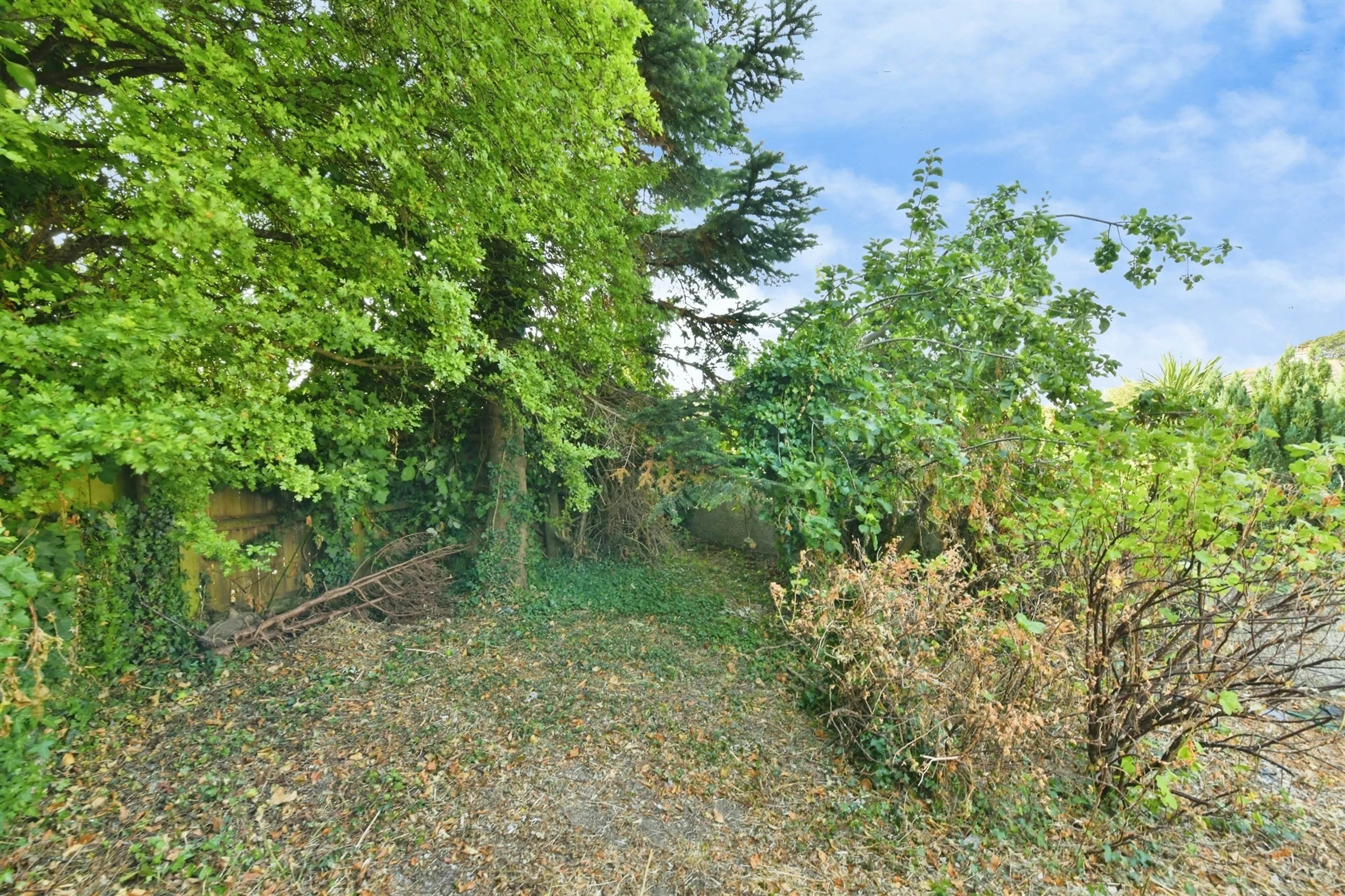 Property photo 18