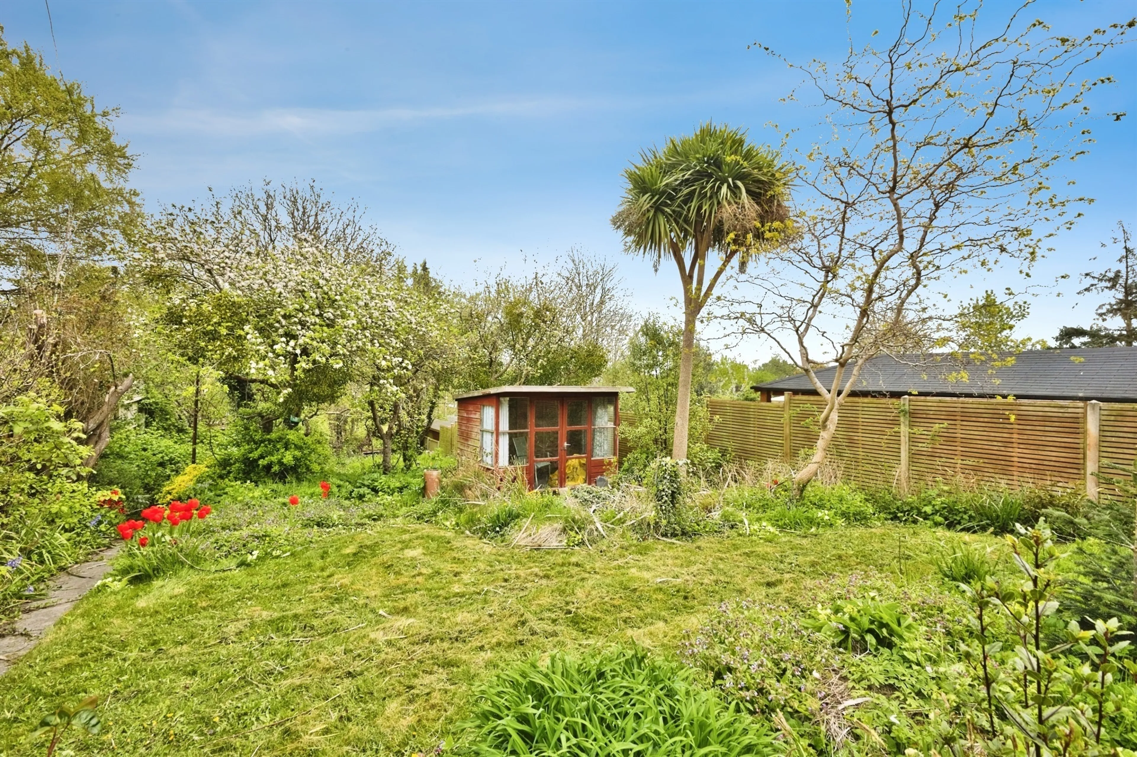 Property photo 12