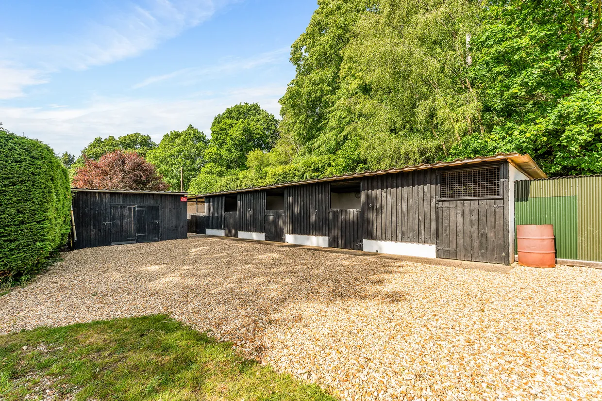 North Gorley, Fordingbridge, SP6 photo 19