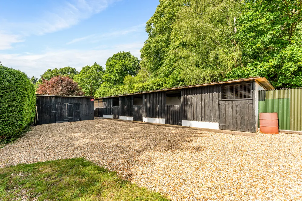 North Gorley, Fordingbridge, SP6 photo 19
