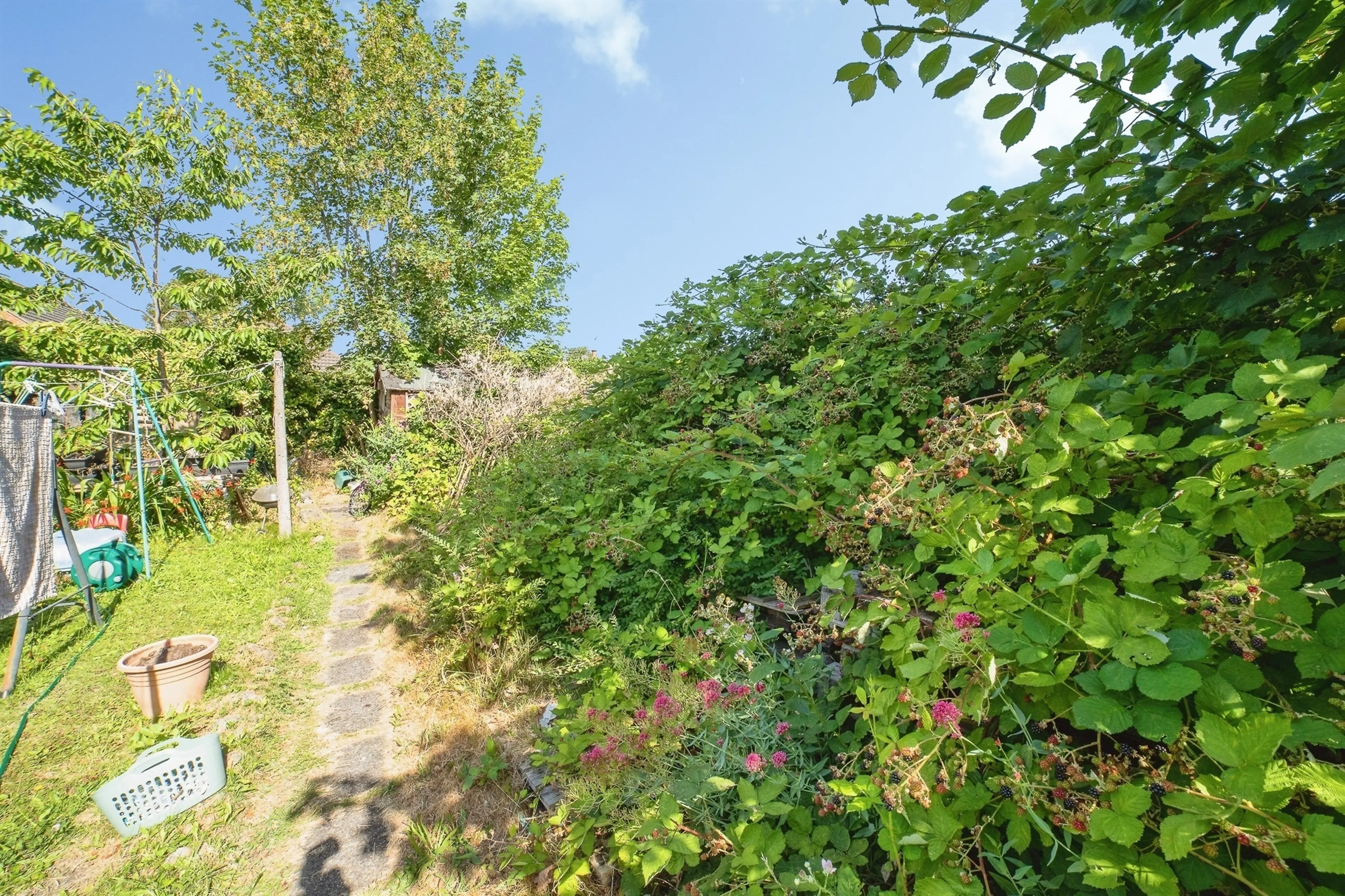 Property photo 16