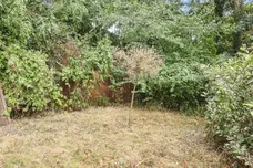 Blackberry Lane, Rowley Regis