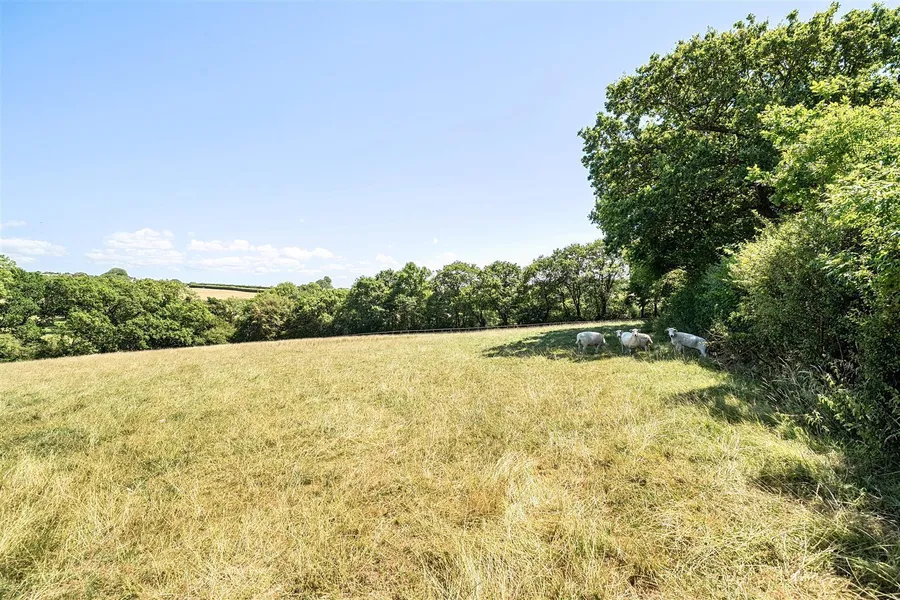 Property Image 46