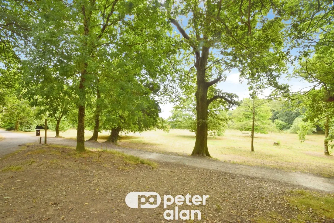 Property photo 18