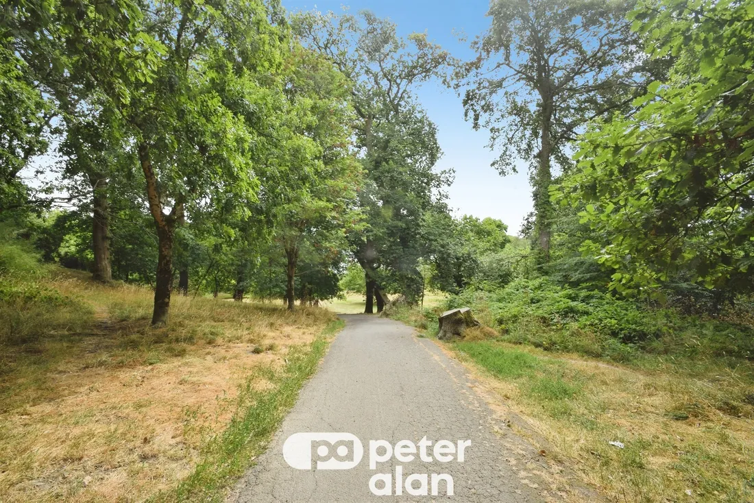 Property photo 21