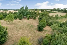 Ashfield Green, Wickhambrook, Newmarket