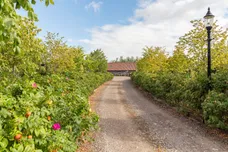 Ashfield Green, Wickhambrook, Newmarket