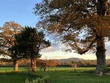 Langton Lane, Hurstpierpoint, BN6 photo 13